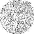 Different fern doodle; mushroom; Royalty Free Stock Photo
